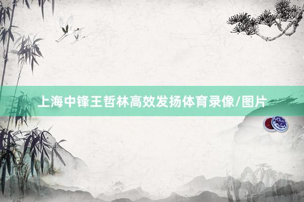 上海中锋王哲林高效发扬体育录像/图片