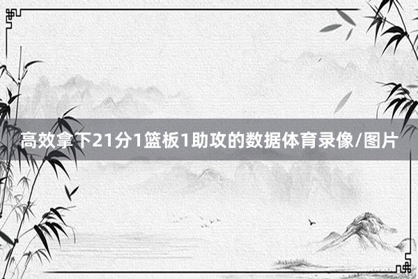 高效拿下21分1篮板1助攻的数据体育录像/图片
