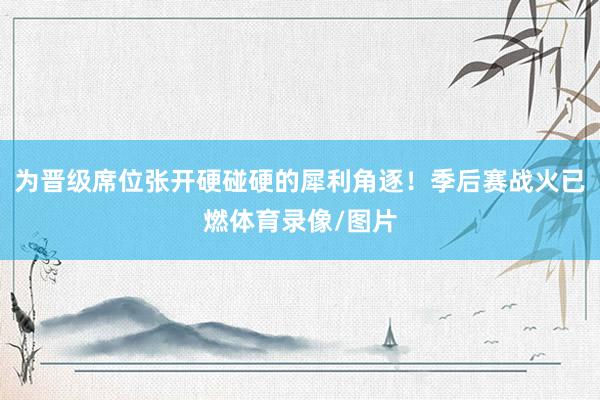 为晋级席位张开硬碰硬的犀利角逐！季后赛战火已燃体育录像/图片