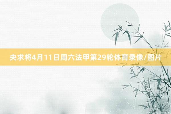 央求将4月11日周六法甲第29轮体育录像/图片