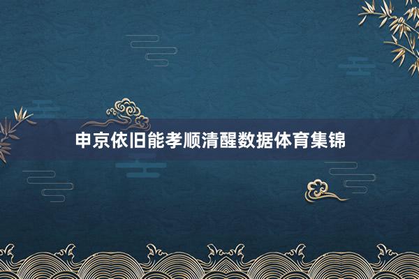 申京依旧能孝顺清醒数据体育集锦