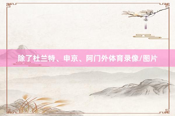 除了杜兰特、申京、阿门外体育录像/图片