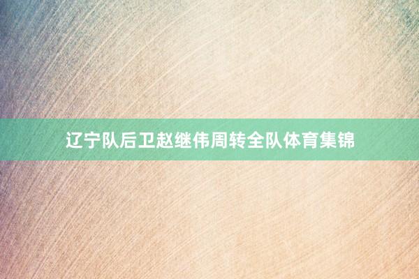 辽宁队后卫赵继伟周转全队体育集锦