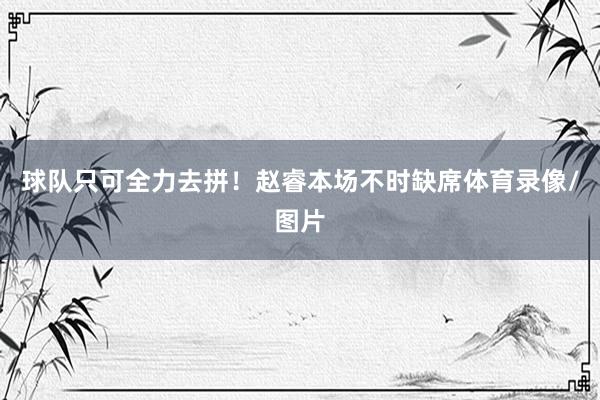 球队只可全力去拼！赵睿本场不时缺席体育录像/图片
