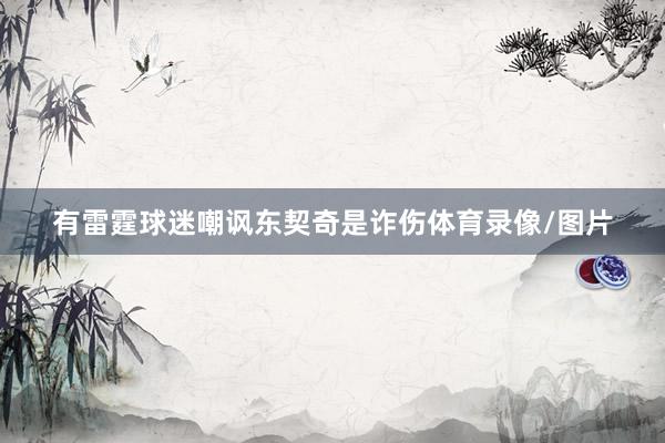 有雷霆球迷嘲讽东契奇是诈伤体育录像/图片
