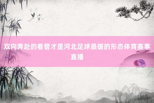 双向奔赴的看管才是河北足球最暖的形态体育赛事直播