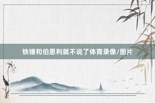 铁锤和伯恩利就不说了体育录像/图片