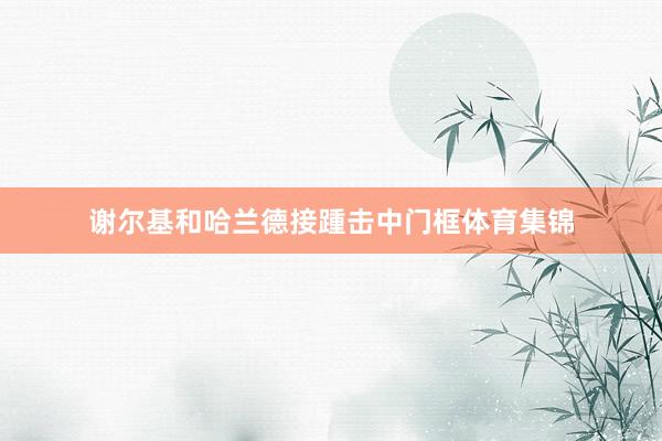 谢尔基和哈兰德接踵击中门框体育集锦