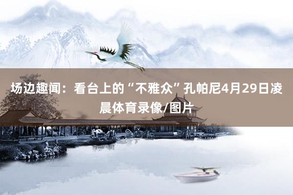 场边趣闻：看台上的“不雅众”孔帕尼4月29日凌晨体育录像/图片