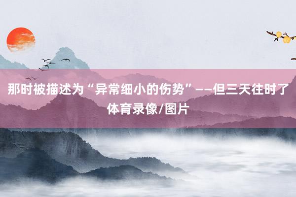 那时被描述为“异常细小的伤势”——但三天往时了体育录像/图片