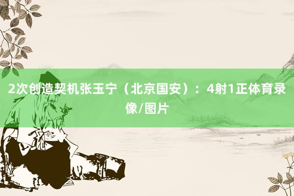 2次创造契机张玉宁（北京国安）：4射1正体育录像/图片