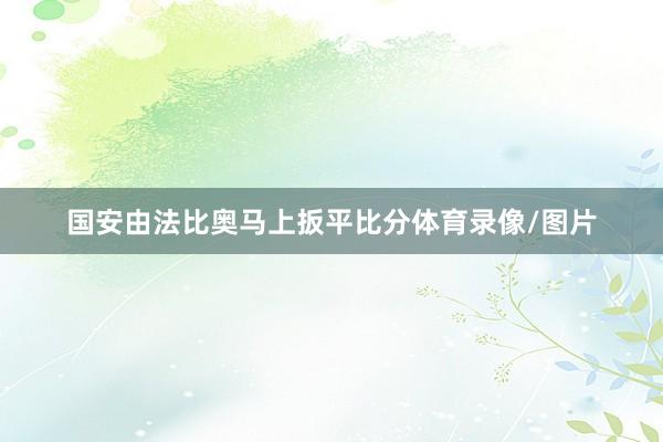 国安由法比奥马上扳平比分体育录像/图片