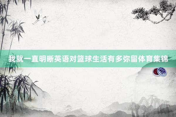 我就一直明晰英语对篮球生活有多弥留体育集锦