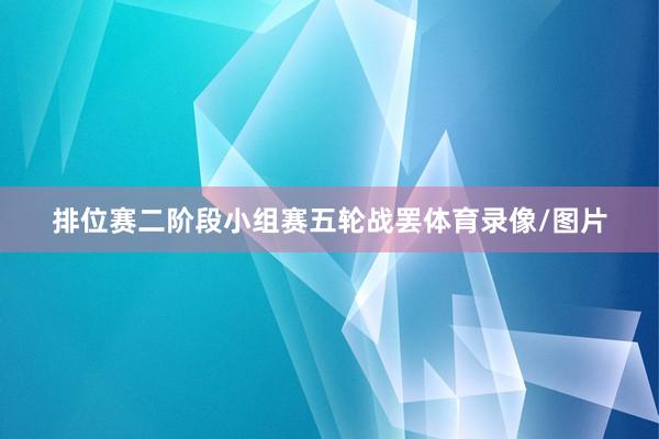 排位赛二阶段小组赛五轮战罢体育录像/图片