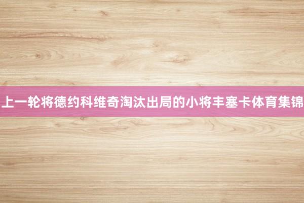 上一轮将德约科维奇淘汰出局的小将丰塞卡体育集锦