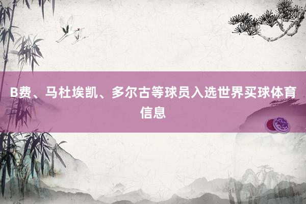 B费、马杜埃凯、多尔古等球员入选世界买球体育信息
