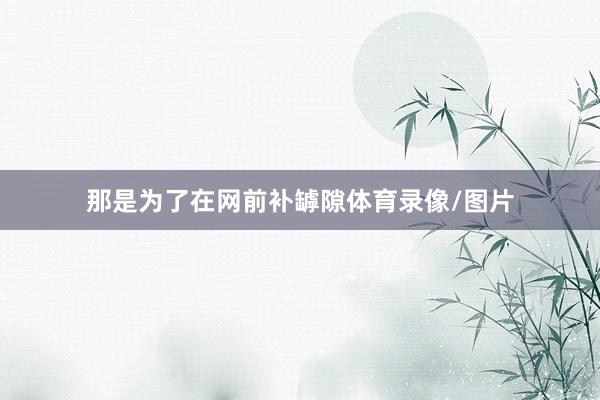 那是为了在网前补罅隙体育录像/图片